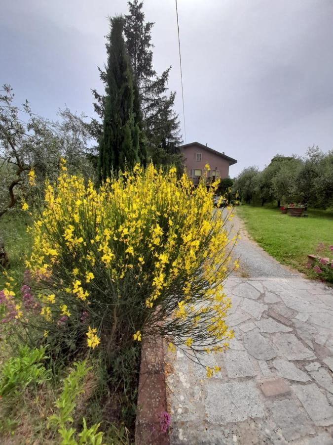 Alloggio per agriturismo Campo Contile
