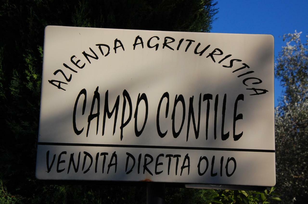 Campo Contile
